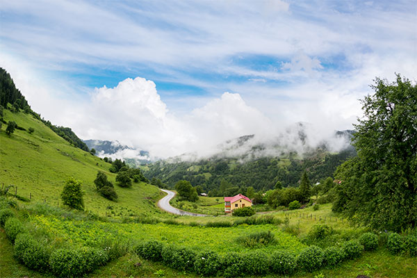 Coonoor